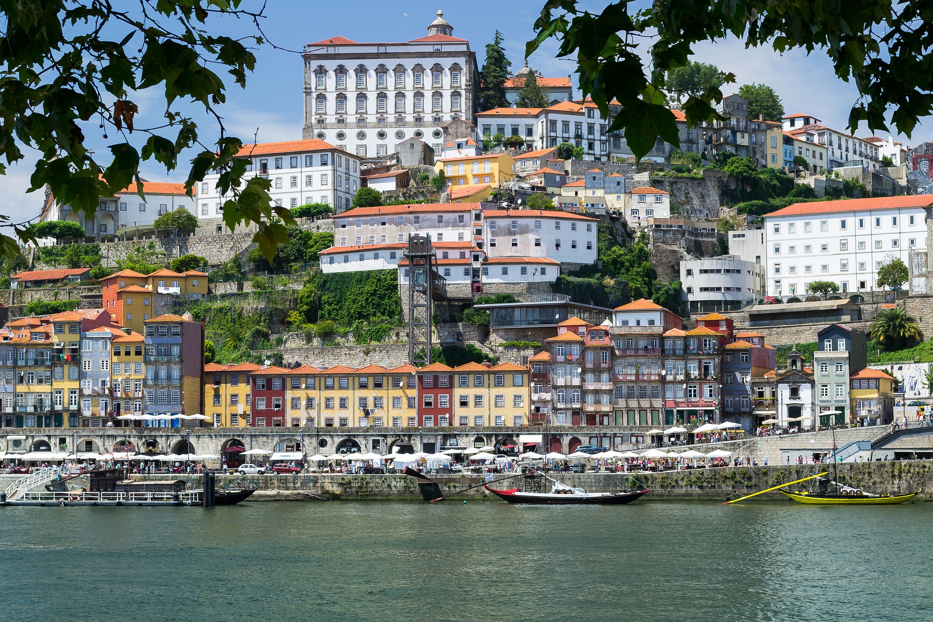 Top Excursions and Things to Do in Porto