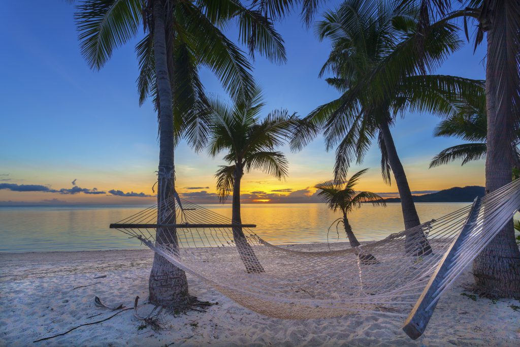 tropical paradise -beach and hammock