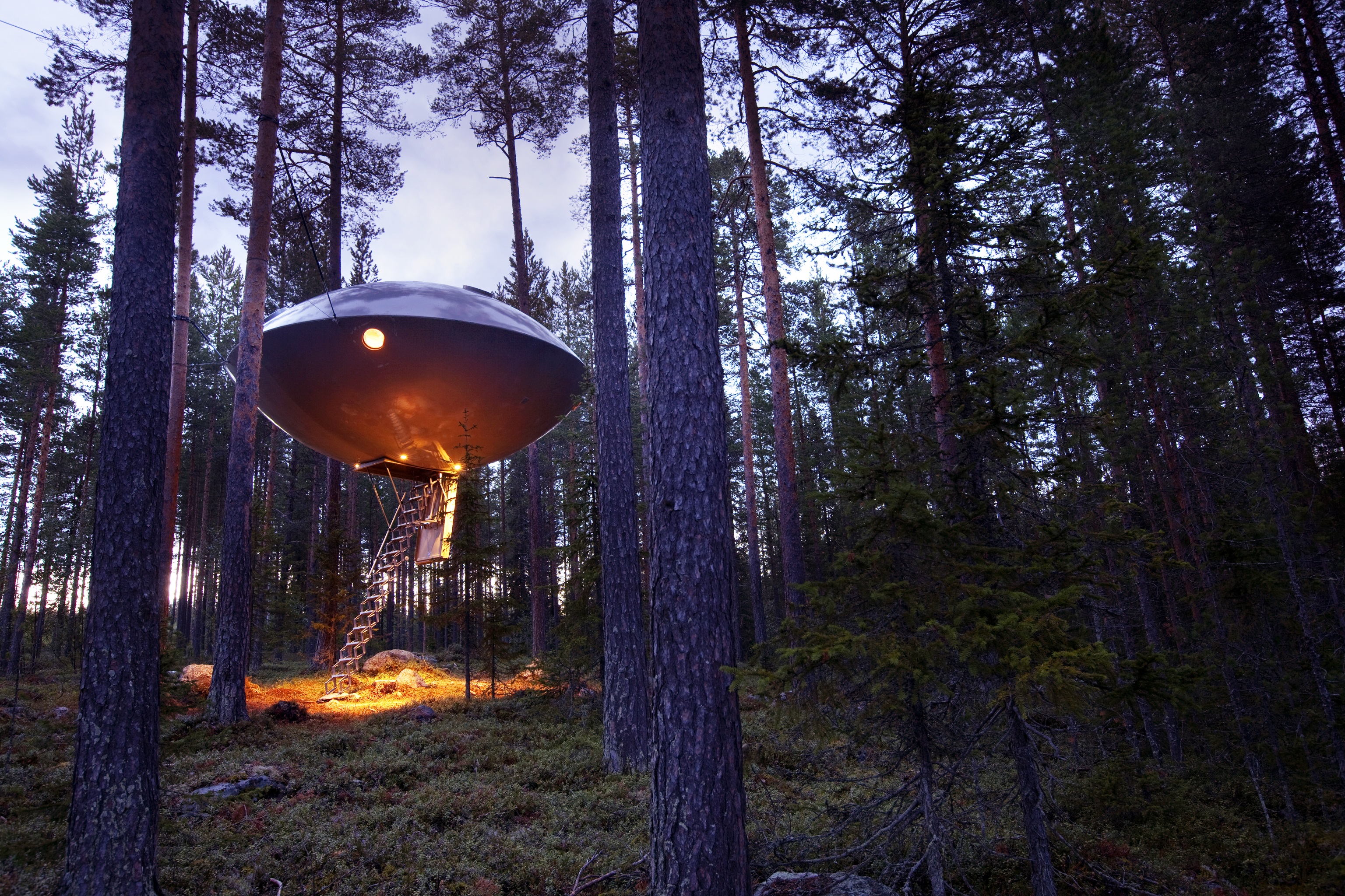 UFO treehouse