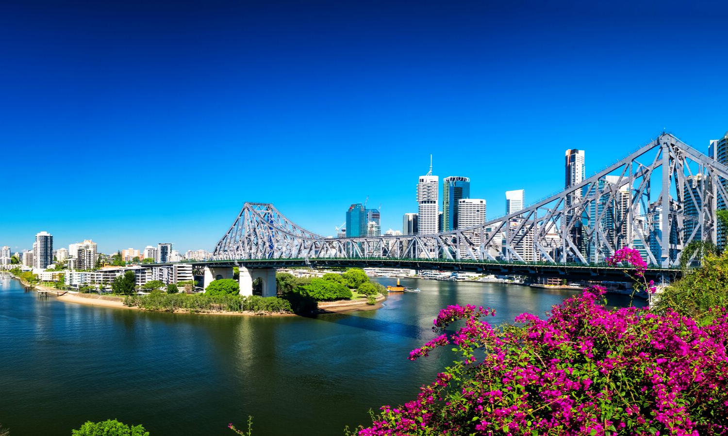 Photograph of Story Bridge, Brisbane. Shows suspension bridge over water with city scape in the background. In the forefront there are some pink flowering plants. 